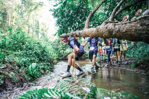 BIB: 
                            <button type="button" onclick="openModal(25476465)" class="btn btn-primary btn-sm float-right btn-popup" data-toggle="modal" data-target=".modal-high-quality">
                        <i class="fas fa-shopping-cart"></i> Add to Cart
                    </button>
                                            <button type="button" onclick="isThisMe(25476465, true)" class="btn btn-success btn-sm float-right btn-popup btn-isme hidden" data-toggle="tooltip" data-placement="bottom" title="นี่คือรูปของคุณใช่ไหม คลิกที่นี่เพื่อเอาเข้าอัลบั้ม">
                        <i class="fas fa-plus"></i> Add to album
                    </button>
                    <button type="button" onclick="isThisMe(25476465, false)" class="btn btn-warning btn-sm float-right btn-popup btn-isnotme hidden">
                        <i class="fas fa-ban"></i> Remove from album
                    </button>